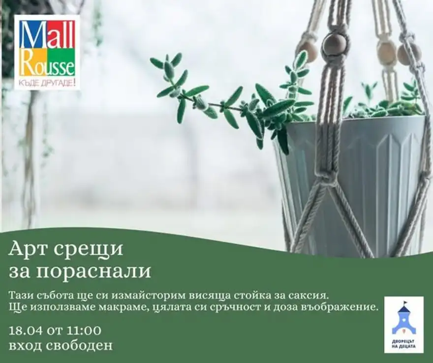 Плакат със снимка на саксия със зелено растение, окачена в плетена макраме стойка