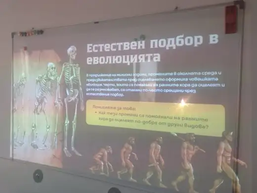 Проектиран слайд „Естествен подбор в еволюцията“ със скелети на човекоподобни предци