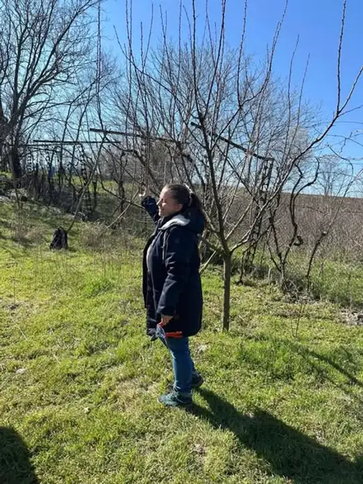 Жена стои сред млади овощни дървета в градината.