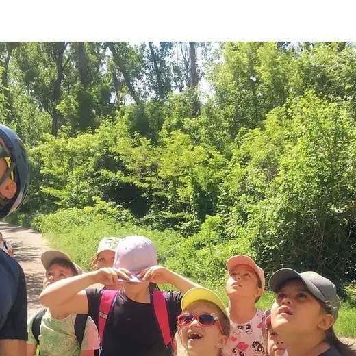 Група деца с шапки и каски гледат нагоре, застанали на горска пътека.